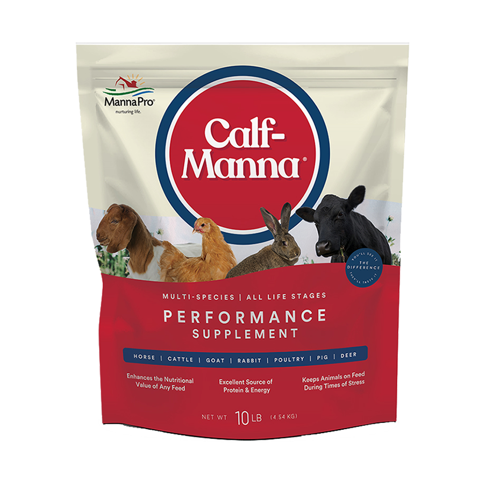 CALF MANNA HORSES