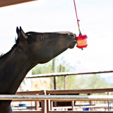 HORSEMANS PRIDE SOPORTE PARA BOCADILLOS PARA CABALLOS