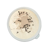 AGITA 10% WG