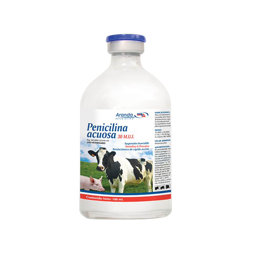 PENICILINA ACUOSA 100 ML