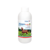 SHAMPOO DE SABILA PARA CABALLO (1 LITRO)