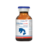 XILACINA AL 10% ARANDA (20ML)