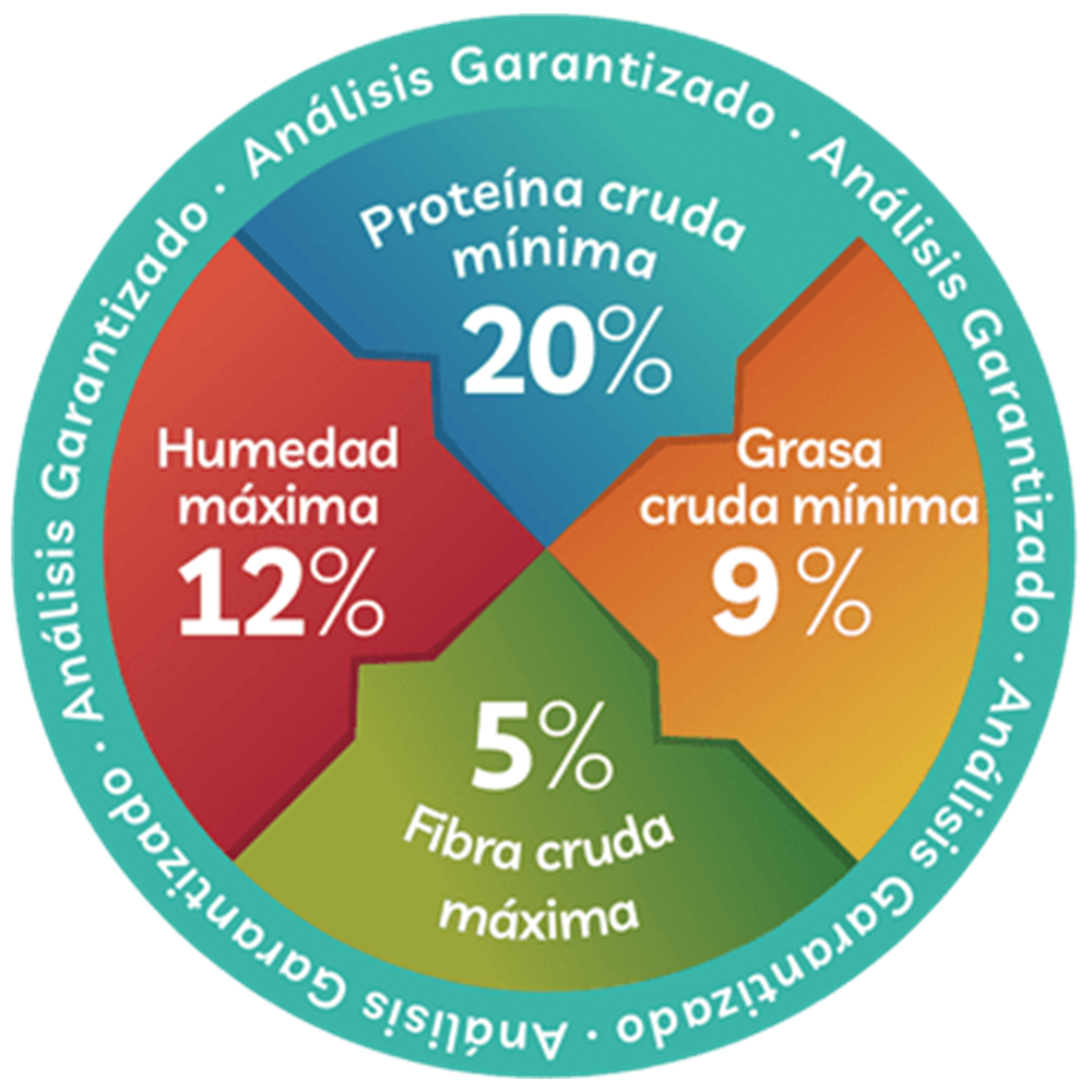 PERRAZO ADULTO 25 KILOS