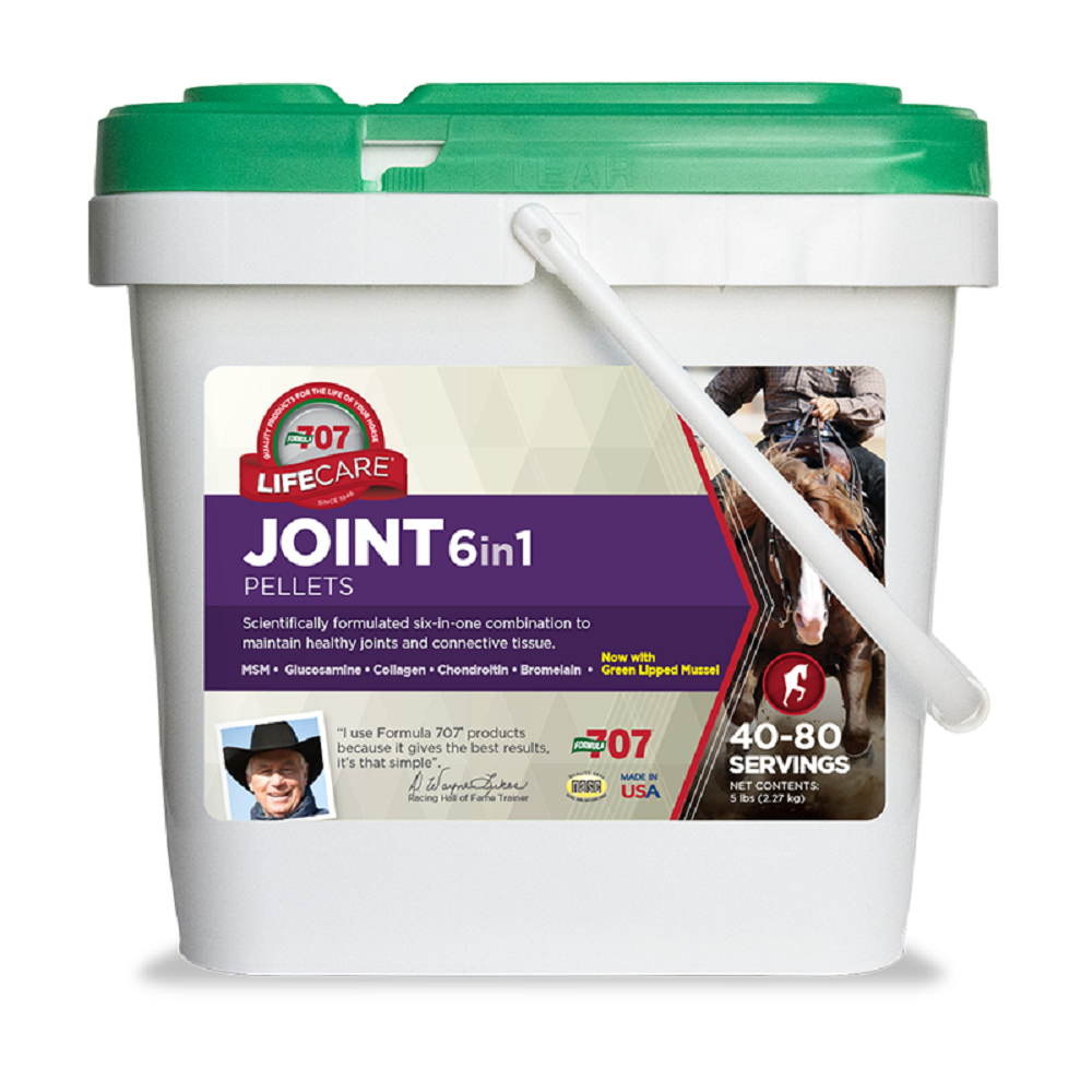 FORMULA 707 JOINT 6 IN 1 5 LBS