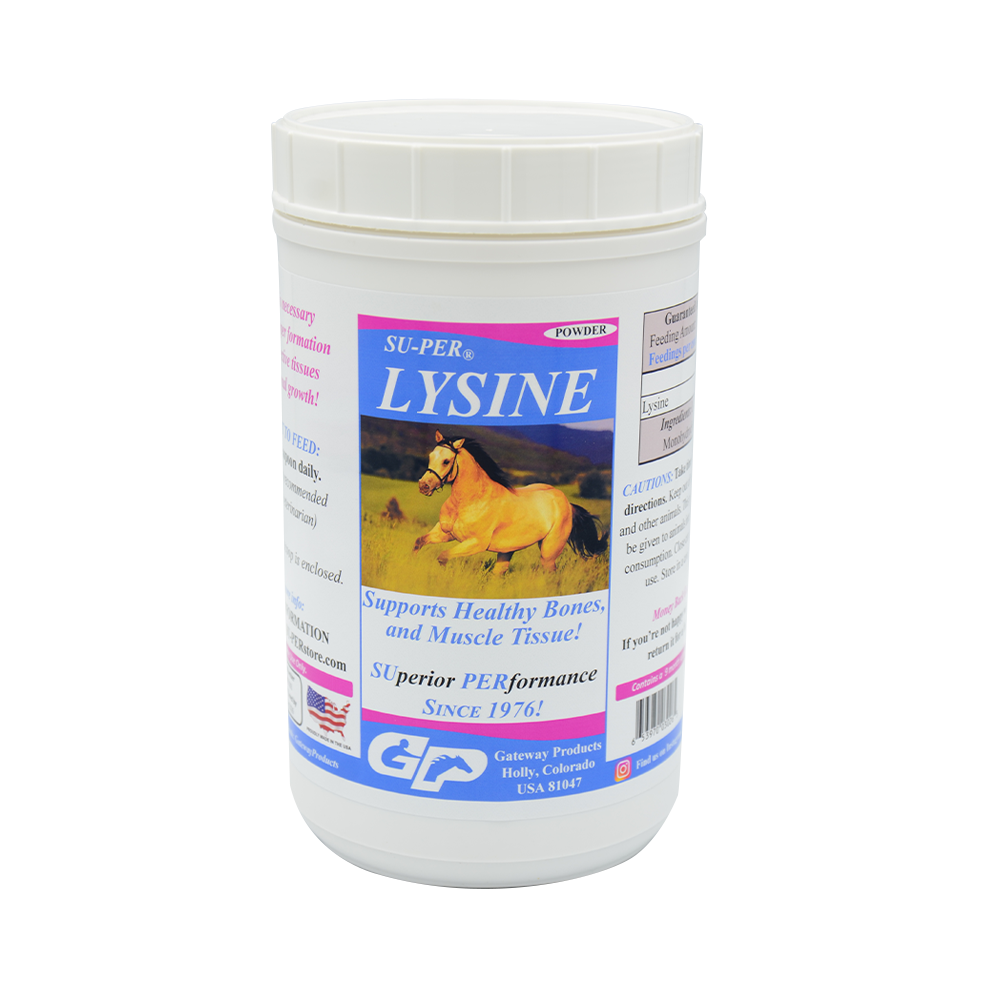 SUPER L-LYSINE 2.5 LBS
