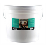 MIRACLE VITE FIRST COMPANION