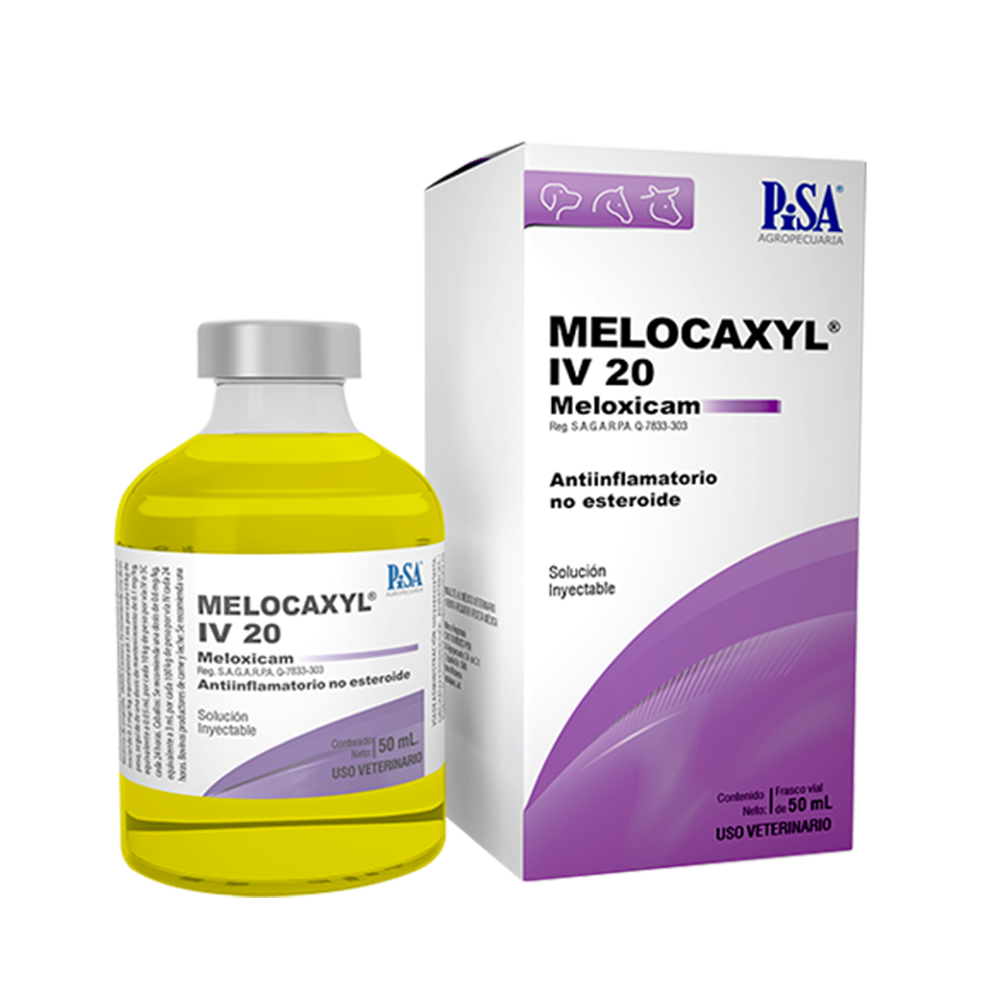 MELOCAXYL IV 20 ML (MELOXICAM 5.0 mg/ml)
