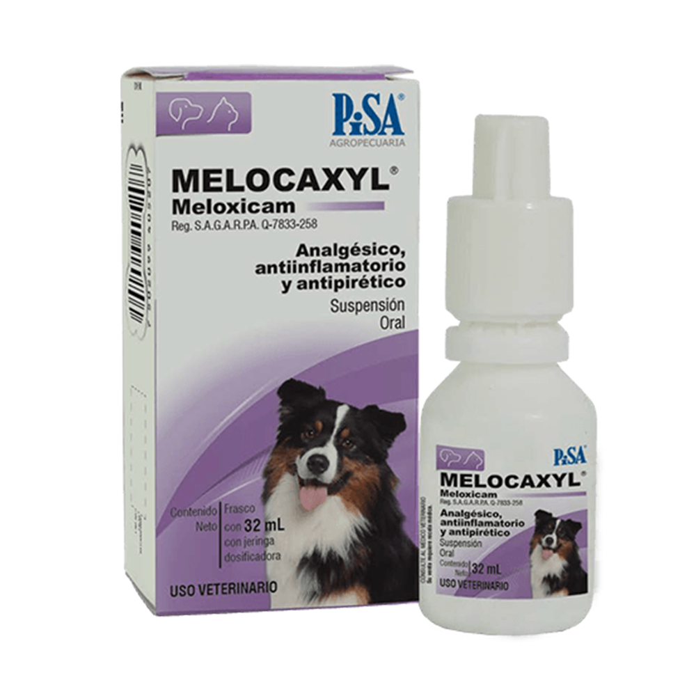 MELOCAXYL SUSPENSION ORAL 32 ML (MELOXICAM 1.5 mg/ml)