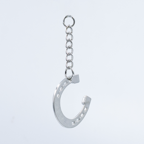 LLAVERO EN FORMA DE HERRADURA