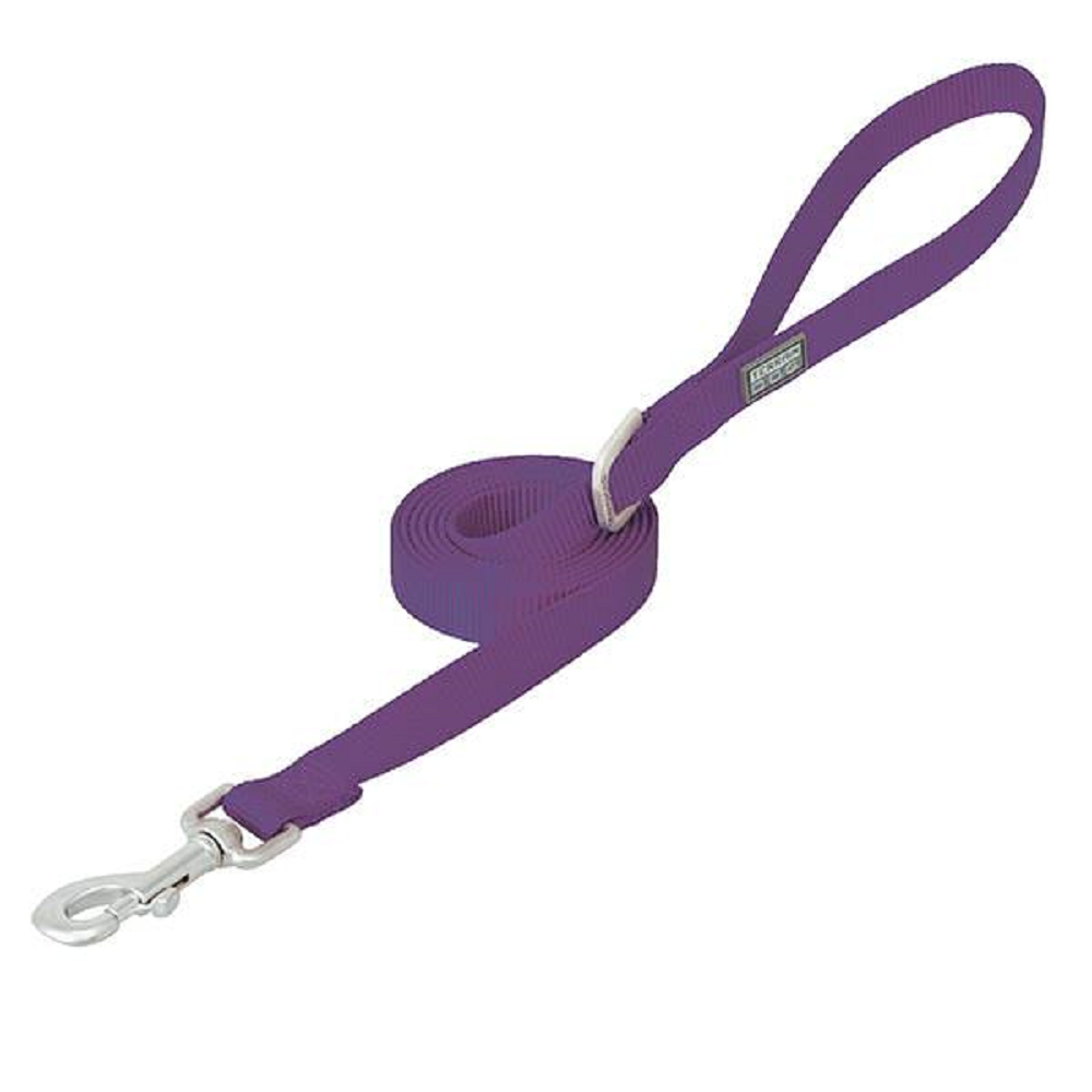 CORREA PARA PERROS NYLON CAPA SENCILLA 3/4 X 6' (MORADA)