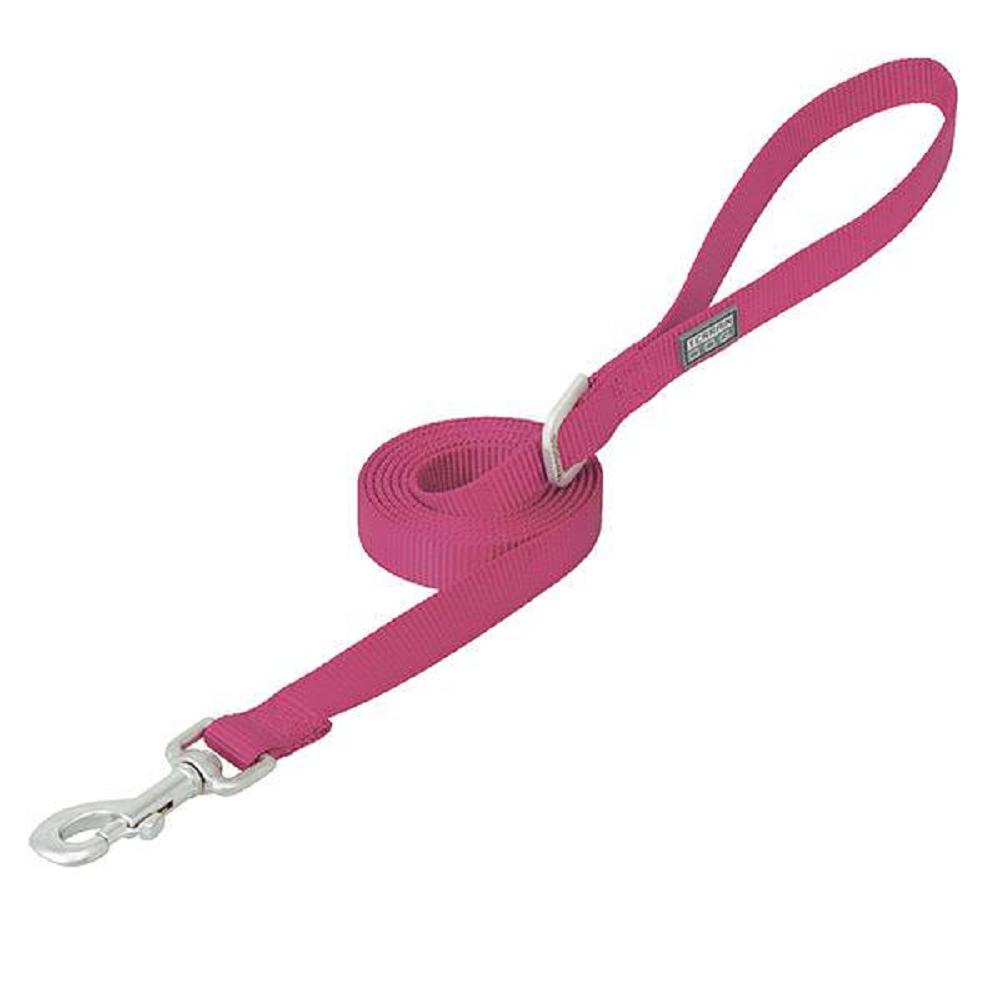 CORREA PARA PERROS NYLON CAPA SENCILLA 3/4 X 6' (ROSA)