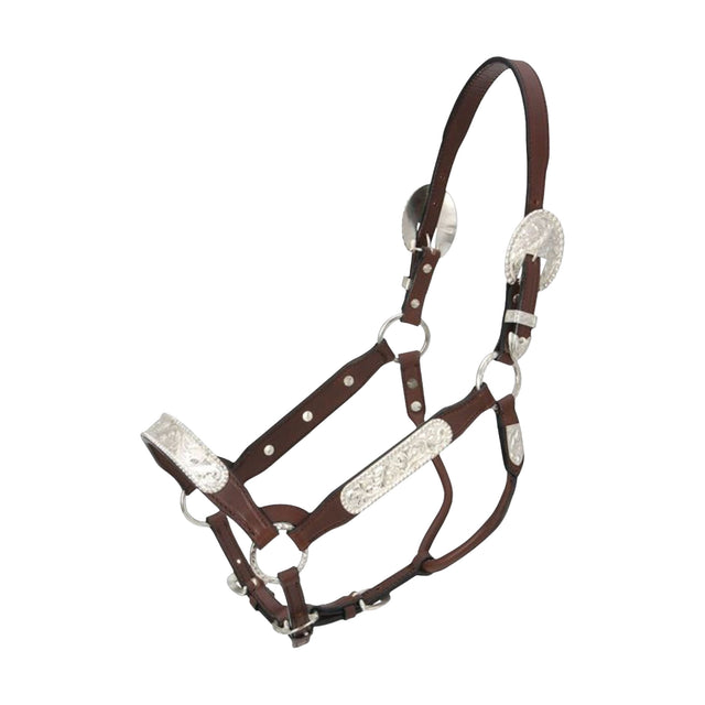 TOUGH 1 ALMARTIGON CON PASEADOR DE CUERO Y PLATA ROYAL KING  BERRY EDGE CONGRESS (CAFE OBSCURO)