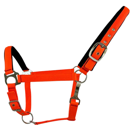 SHOWMAN ALMARTIGON DE NYLON PARA CABALLO TAMAÑO PROMEDIO