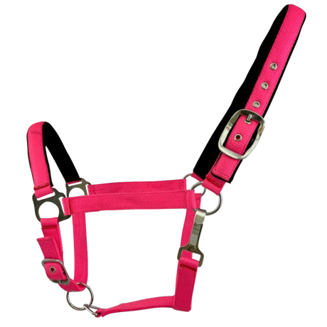 SHOWMAN ALMARTIGON DE NYLON PARA CABALLO TAMAÑO PROMEDIO