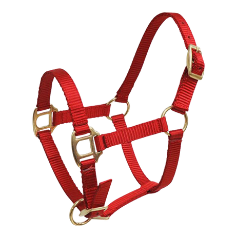 SHOWMAN ALMARTIGON PREMIUM DE NYLON (POTROS)