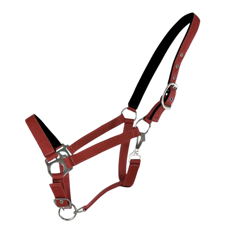 SHOWMAN ALMARTIGON CON MUSEROLA Y CORONA FORRADAS DE NEOPRENO ESTANDAR