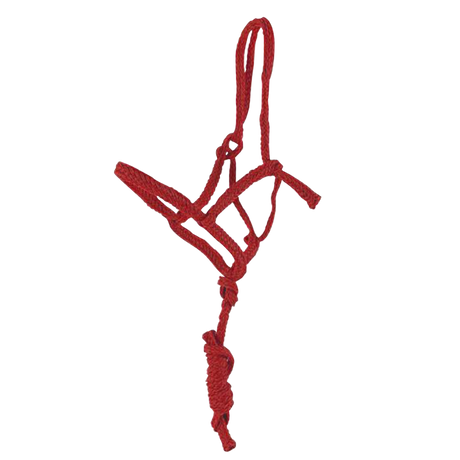 SHOWMAN ALMARTIGONES DE TRANSPORTE CON PASEADOR DE 6''