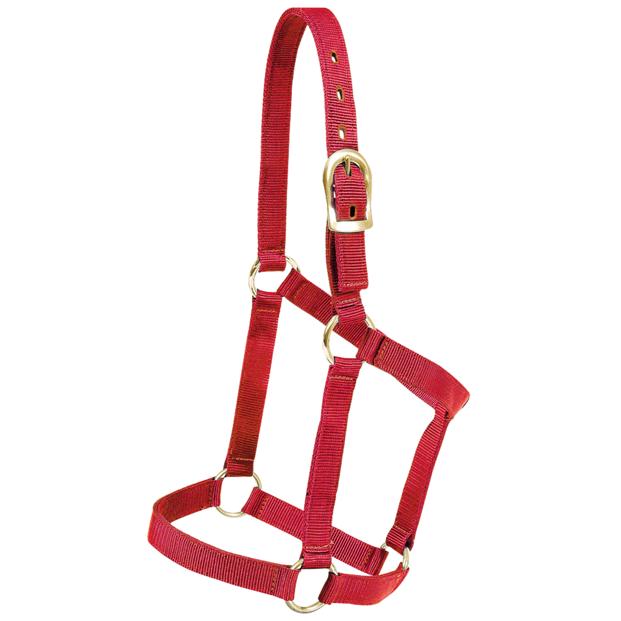 MUSTANG ALMARTIGON ECONOMICA POTRILLO