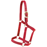 MUSTANG ALMARTIGON ECONOMICA POTRILLO