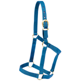 MUSTANG ALMARTIGON ECONOMICA POTRILLO