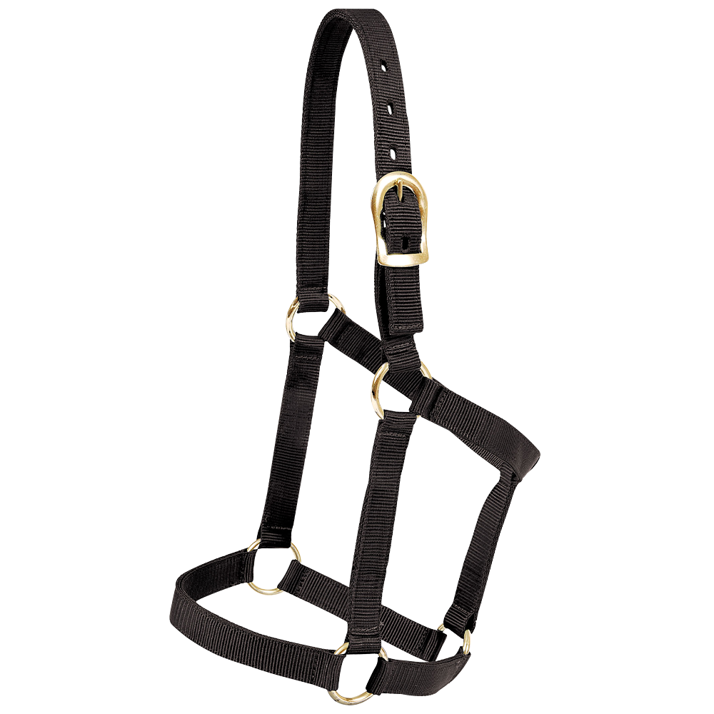 MUSTANG ALMARTIGON ECONOMICA (POTROS) (NEGRO)