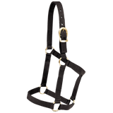 MUSTANG ALMARTIGON ECONOMICA POTRILLO