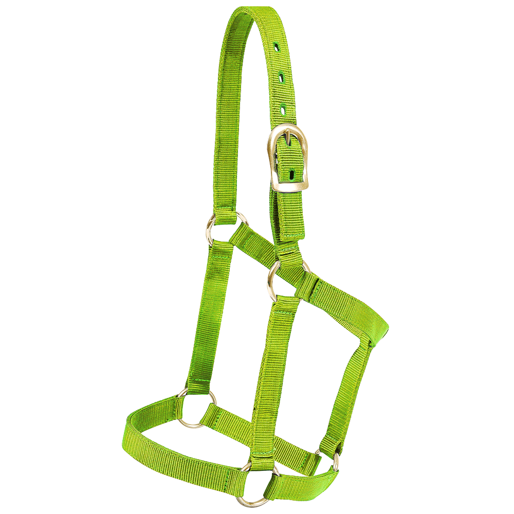 MUSTANG ALMARTIGON ECONOMICA (POTROS) (VERDE LIMON)