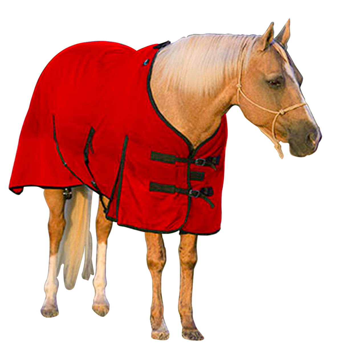 MUSTANG MANTA DENIER 600D