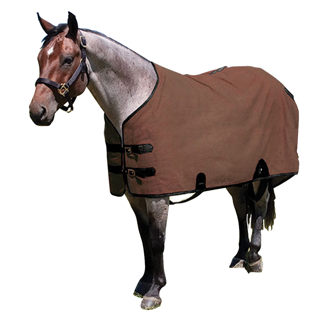MUSTANG MANTA DE ESTABLO DE LONA CAFE