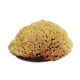JACKS NATURAL TACK SPONGE