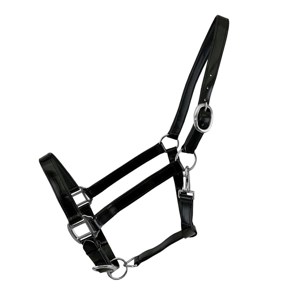 SHOWMAN SHINY BLACK NYLON COATED HORSE HALTER (ALMARTIGON DE NYLON)