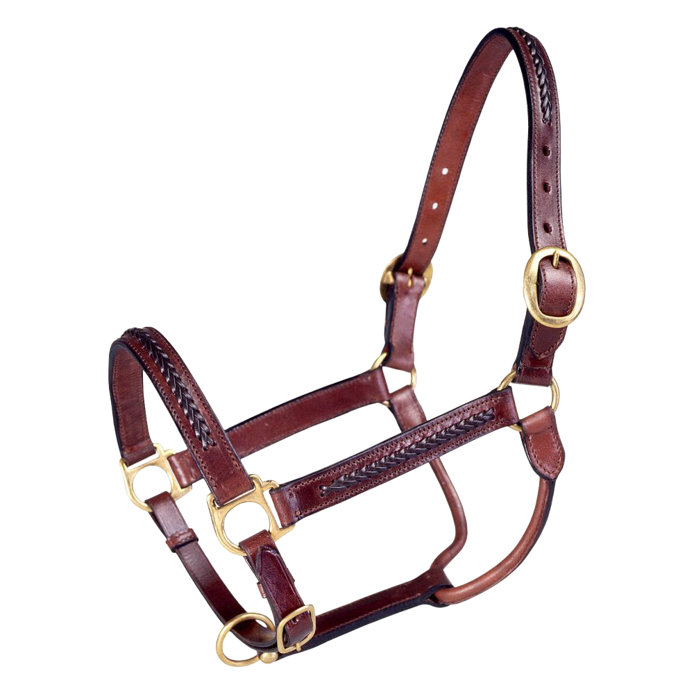 TOUGH 1 ALMARTIGON DE CUERO TRENZADO ROYAL KING