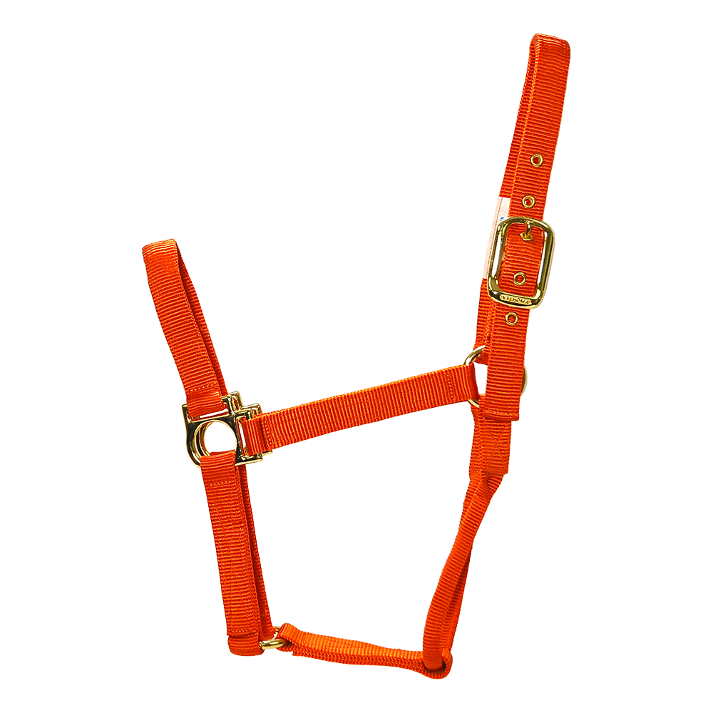 ALMARTIGÓN VALHOMA Q