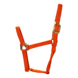 ALMARTIGÓN VALHOMA Q