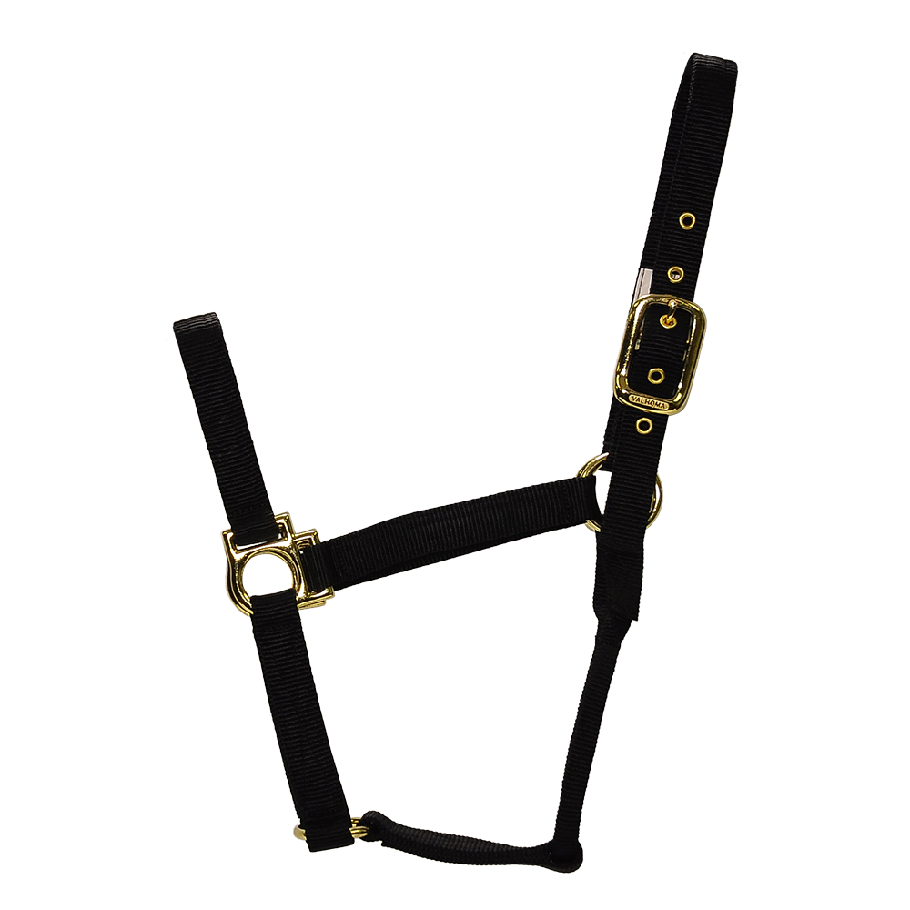 ALMARTIGÓN VALHOMA Q