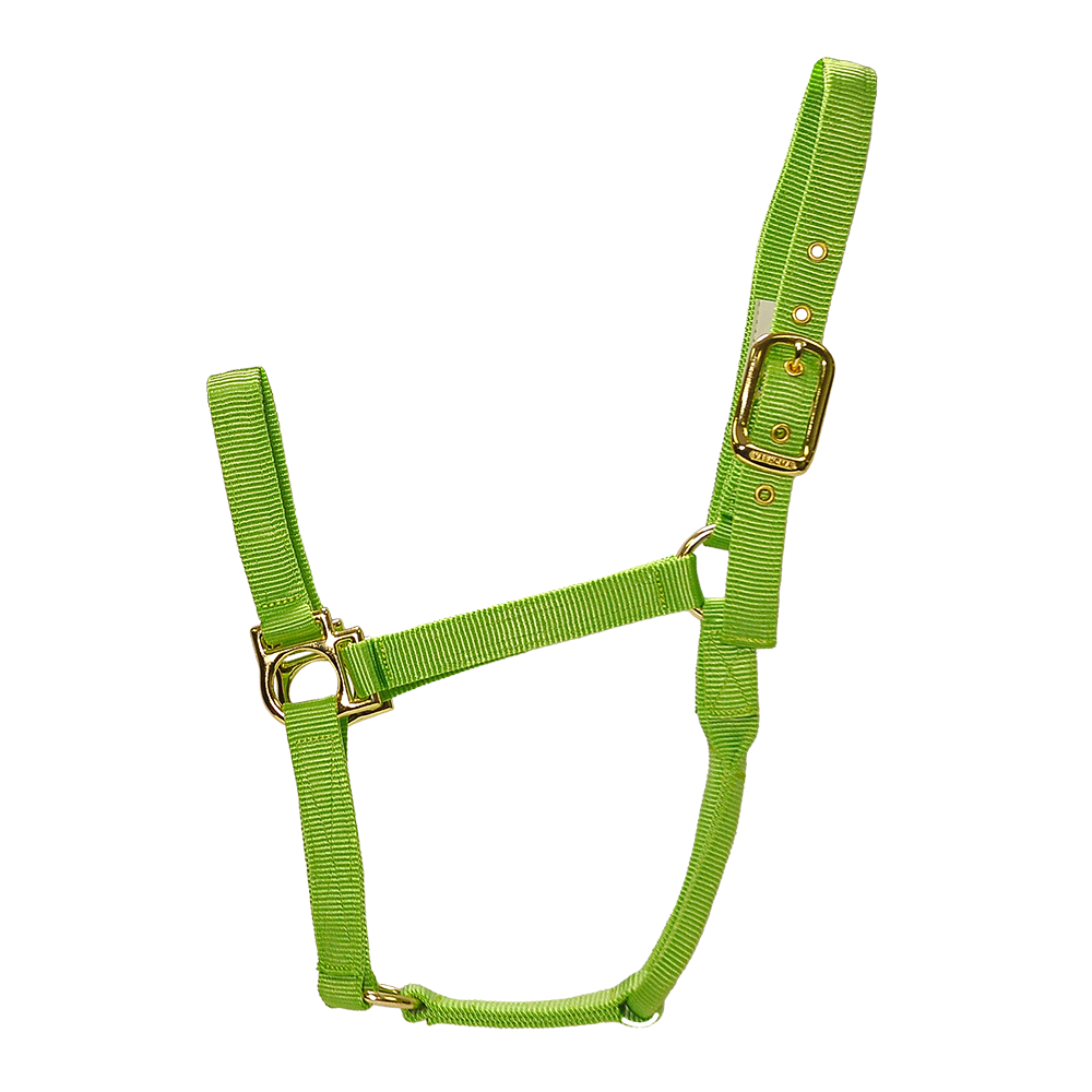 ALMARTIGÓN VALHOMA Q