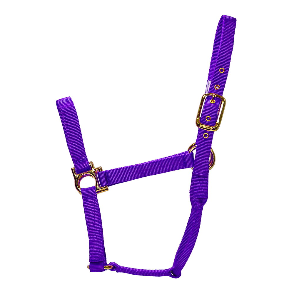 ALMARTIGÓN VALHOMA Q