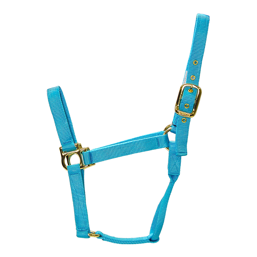 ALMARTIGÓN VALHOMA Q