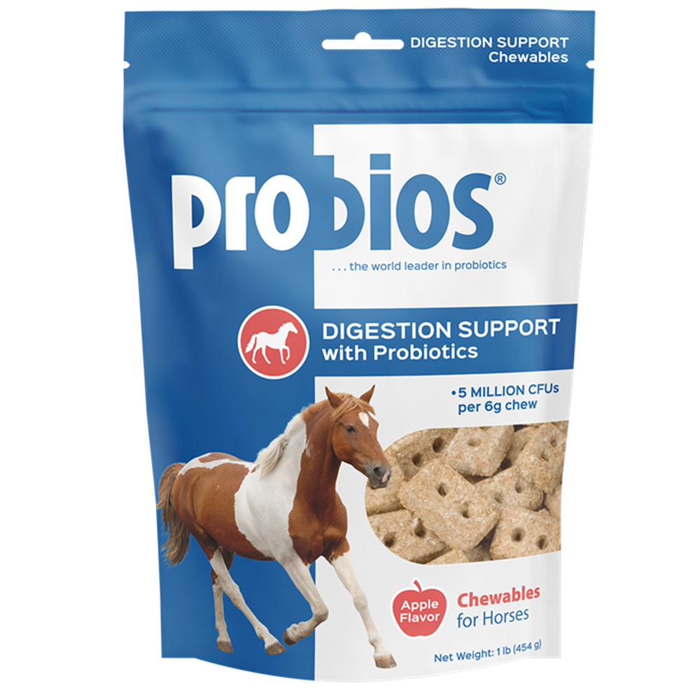 PROBIOS CHEWABLE PREMIOS P/ SOPORTE DIGESTIVO SABOR MANZANA 1 LB