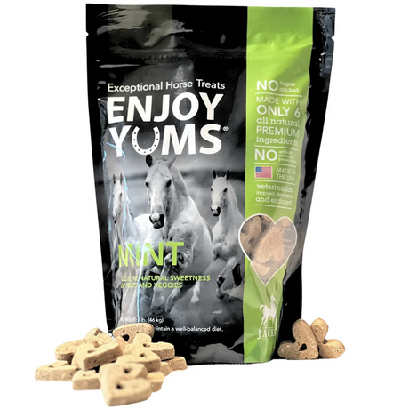 ENJOY YUMS HORSE TREATS