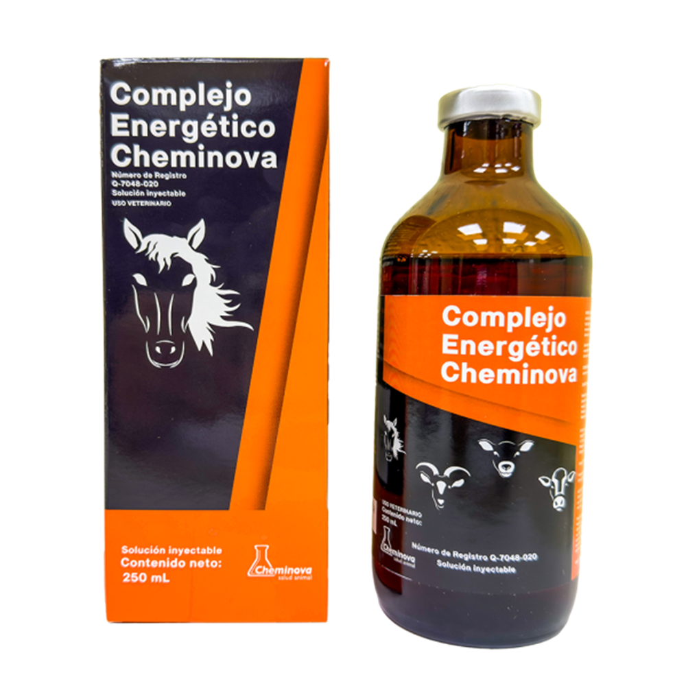 COMPLEJO ENERGETICO CHEMINOVA
