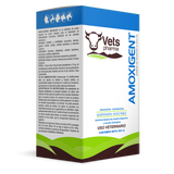 AMOXIGENT (AMOXICILINA 150 mg/ml SULFATO DE GENTAMICINA 40 mg/ml)