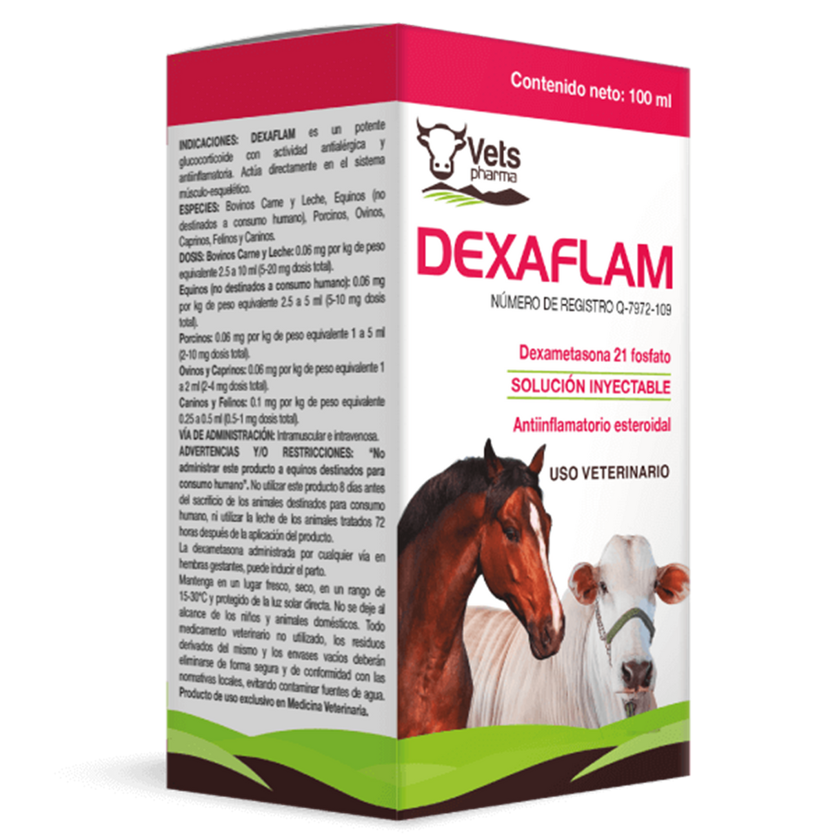 DEXAFLAM 100 ML (DEXAMETASONA 2mg/ml)