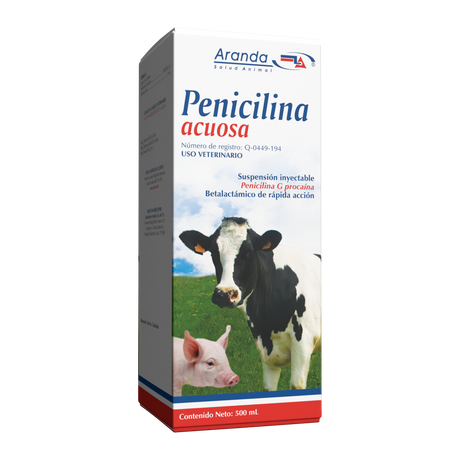 PENICILINA ACUOSA