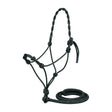 PARTRADE ALMARTIGON CON PASEADOR EQUI-SKY