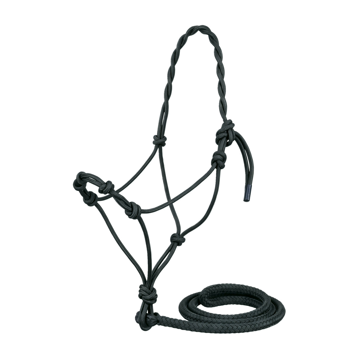 PARTRADE ALMARTIGON CON PASEADOR EQUI-SKY