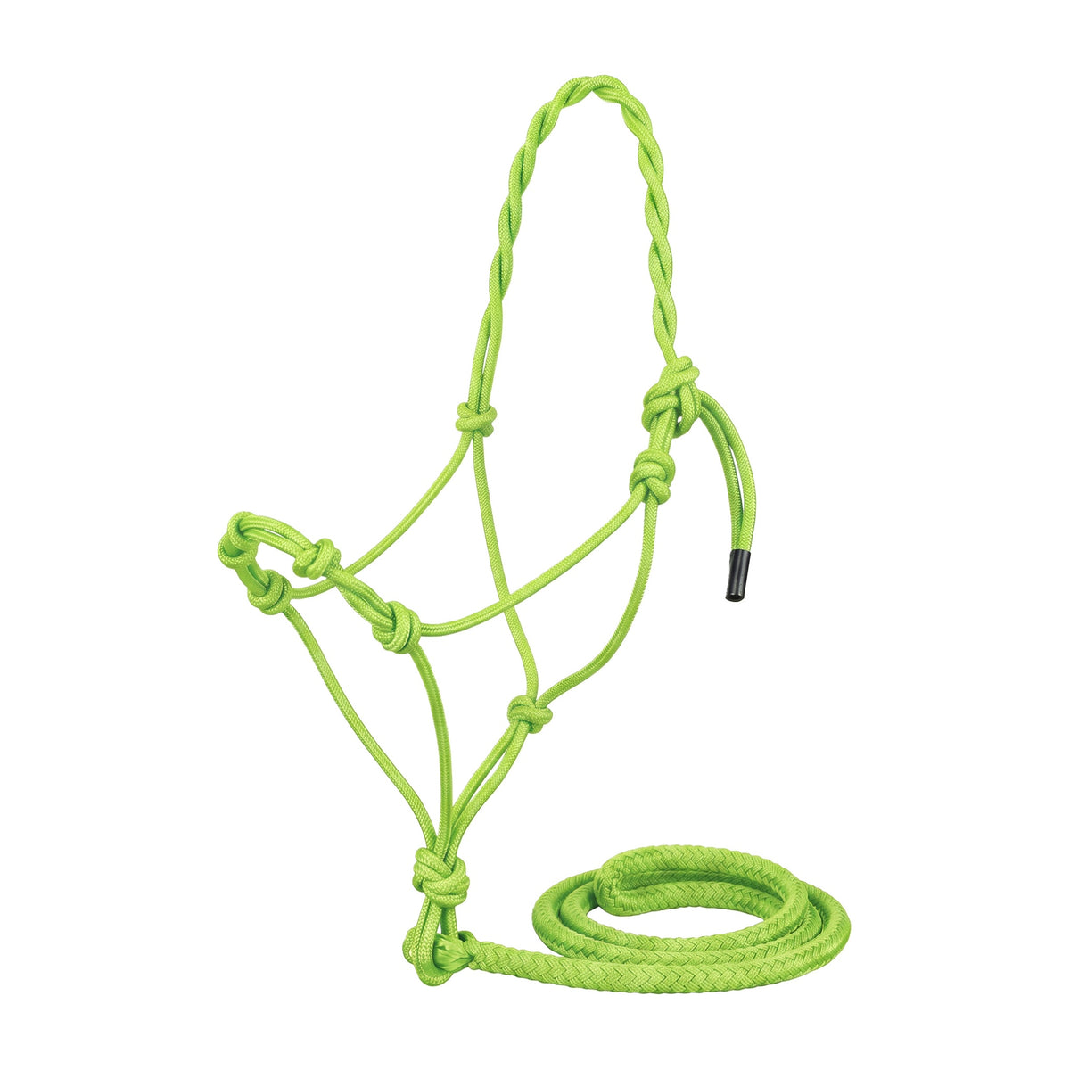 PARTRADE ALMARTIGON CON PASEADOR EQUI-SKY
