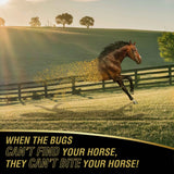Caballo galopando en el campo, cuando los insectos no localizan al caballo con UltraShield Gold tampoco lo pican