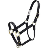 ALMARTIGÓN PREMIUM CABALLO