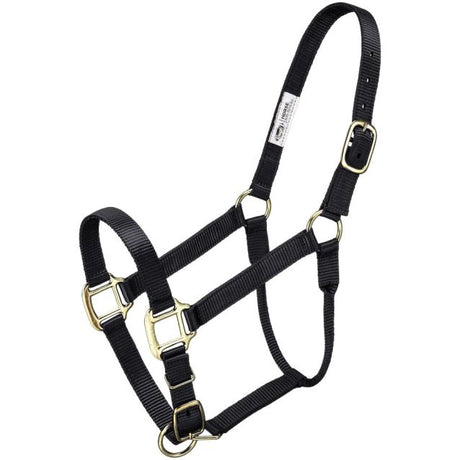 ALMARTIGÓN PREMIUM CABALLO